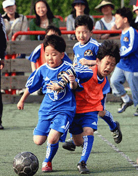 うちの子どもはサッカー選手 少年サッカークラブが人気 Joongang Ilbo 中央日報