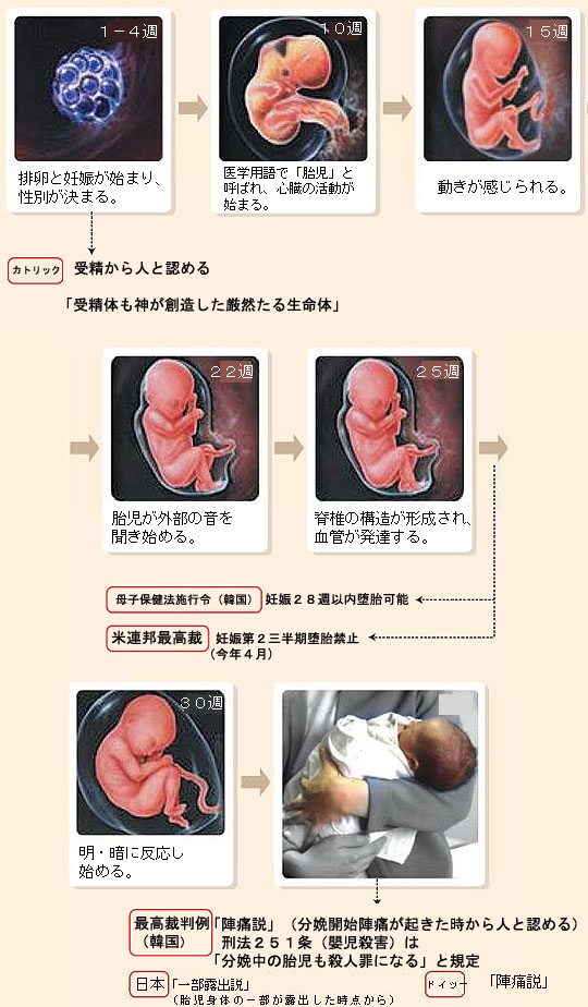 胎児はいつから 人 と見なすのか Joongang Ilbo 中央日報