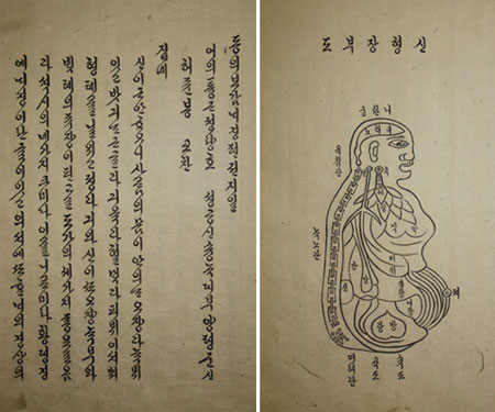 東医宝鑑」は国語史研究においても宝物図鑑 | Joongang Ilbo | 中央日報