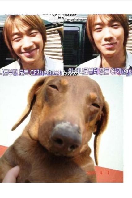 ＳＥ７ＥＮ（セブン）のツイッターに掲載されたＲａｉｎ（ピ）と彼に似た子犬の写真（写真＝ＳＥ７ＥＮのツイッター）。