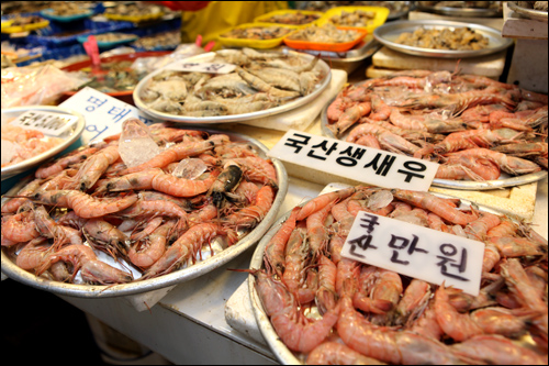 やはり港町。水産エリアでは、獲れたてほやほやの海産物が選り取りみどりです！生きの良さそうなこちらのエビは、このボリュームで１万ウォンとさすがの市場価格！