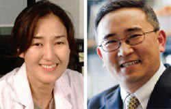 韓国人研究チーム 画期的な抗がん新物質をウイルスから発見 Joongang Ilbo 中央日報