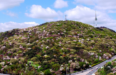 外国人が挙げる「ソウル最高の名所」に選ばれた南山（ナムサン）。