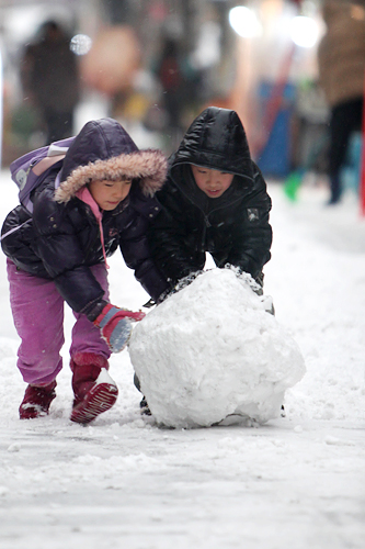 子どもたちは久しぶりの雪でおおはしゃぎ。大きい雪だるまができそうです。