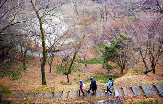 日本に「オルレ」（ウォーキングコース）ができた。 その名は「九州オルレ」。 韓国の「オルレ」が海外に初めて進出した例だ。 春雨が降る日、奥豊後コースの用作公園を歩きながら。