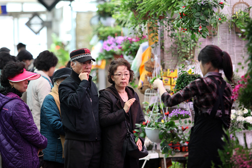 ソウルの街で花が見られるのはもう少し先のようですが、花市場で一足早く春の訪れを感じてみるのも良いかもしれませんね。