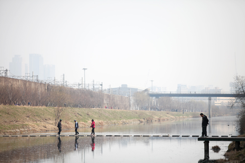迷路庭園の向かいにあるススキの群落地も、草刈をせず自然のままの姿を残し、長さ50mの「ススキ小道」に。地域住民が気軽に利用できる散策コースが新たに増えました。