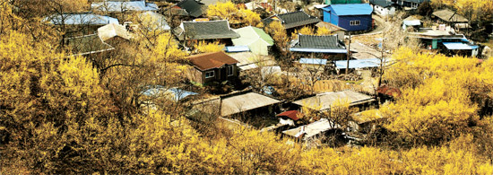 全羅南道求礼郡山東面（チョンラナムド・クレグン・サンドンミョン）ヒョンチョン村。