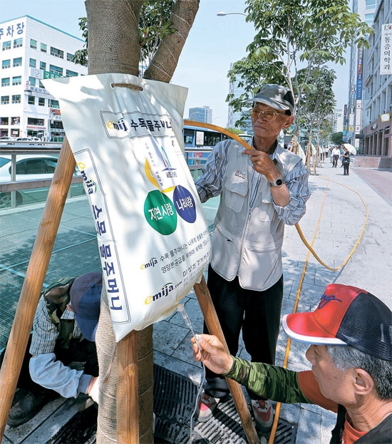 日照りで枯れていく街路樹を救うため、ソウル瑞草（ソチョ）区庁の関係者が１９日午前、良才（ヤンジェ）駅付近の木に２５リットルの水が入った袋を取り付けている。