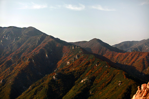 ９月末に先陣をきったのが、韓国北東部の江原道(カンウォンド)に位置する雪岳山（ソラクサン）。今週末あたりがピークと見られ、多くのトレッキング客の訪問が予想されます。