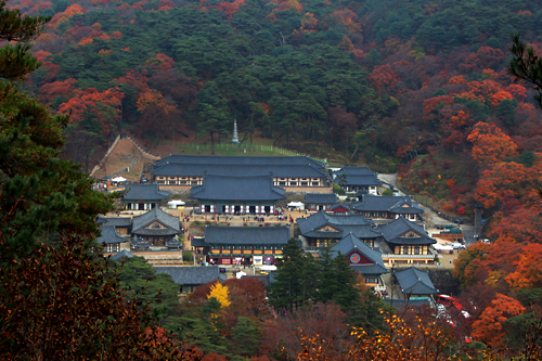 また世界遺産の名所、海印寺(ヘインサ)や仏国寺(プルグッサ)などの古刹でも、色とりどりに染まった木々との絶妙な調和が見られます。各地の山へは、季節限定の紅葉狩りツアーも出ているので、旅行者はそちらを利用するのもおすすめです。