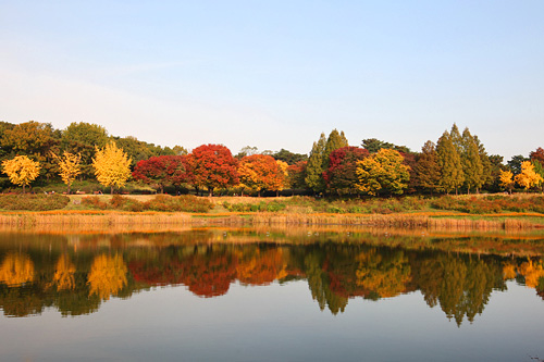 ソウル東部に位置するオリンピック公園。園内の木々が赤や黄色に染まり、公園を囲むように位置する湖に色鮮やかに映し出されています。