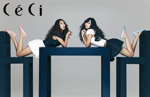 ＳＩＳＴＡＲ（写真提供＝Ｃｅｃｉ）