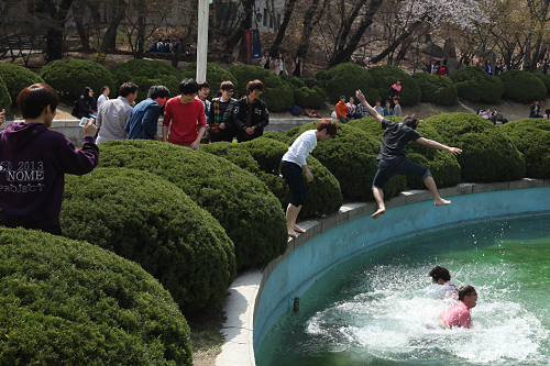 ようやく訪れたポカポカ陽気に心が弾んだのか、キャンパス内にある中庭では学生たちが次々と池にダイビング！