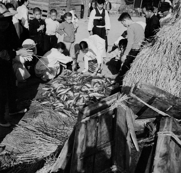 １９５６年、魚市場の様子。（写真＝国家記録院）