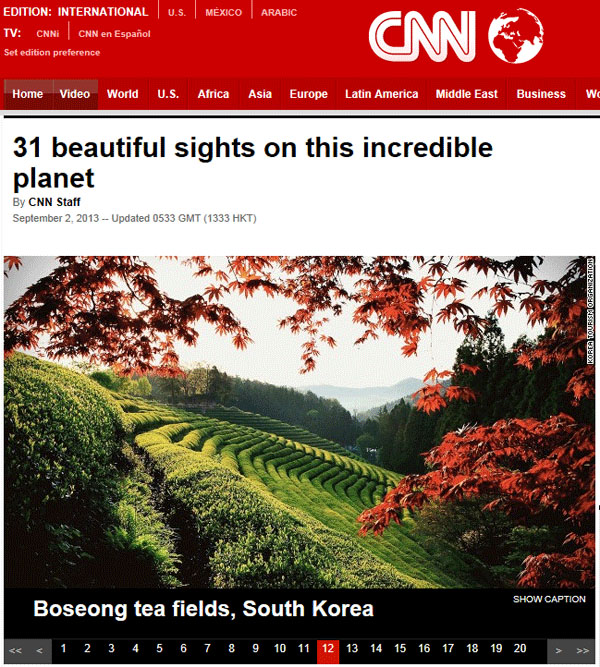 ｃｎｎ選定 驚くほど美しい風景 に韓国 宝城の茶畑 Joongang Ilbo 中央日報