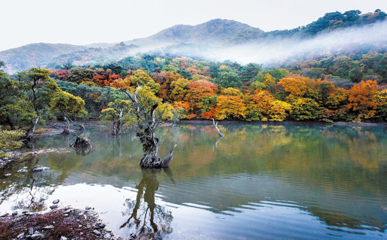 慶尚北道青松（キョンサンブクド・チョンソン）の周王山（ジュワンサン）にある注山池（ジュサンジ）。