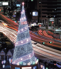 ソウル広場にクリスマスツリー登場 韓国 Joongang Ilbo 中央日報