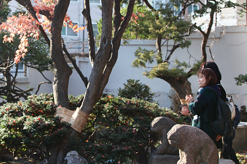 近隣住民に「秘密の庭園」とも呼ばれ、独特の穏やかな雰囲気が感じられるパク・ノス美術館。12月25日までは無料開放されています(来年以降は有料化の予定)。クリスマスまでに、一度足を運んでみてはいかがでしょうか。