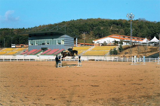 先月２１日、慶尚北道尚州市沙伐面の尚州国際乗馬場補助競技場。教官が一人で障害飛越練習をしている。