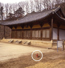 国宝１８号・浮石寺無量寿殿の屋外消火栓（円の中）と火災感知器が作動しないことが分かった。（写真＝中央フォト）