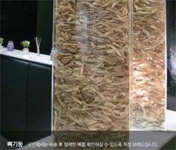 ソウル江南にある整形外科のウェブサイトに掲載された“骨柱”の写真。現在は削除されている。