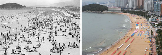幅がほぼ７０メートルに達していた１９７０年代の釜山海雲台（プサン・ヘウンデ）の白砂浜（左側）と、約３８メートルに狭まった昨年の白砂浜。周辺が開発されて海水の流れが変わり、砂が減り続けている。海洋水産部と釜山海雲台区はこれ以上砂浜が削られないようにした後、白砂浜の幅を以前の７０メートルに増やす海雲台復元作業を始めた。（写真＝釜山海雲台区庁）