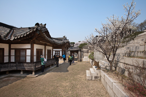 隣には、王族の居所であった錫福軒（ソッポッコン）と寿康斎（スガンジェ）も並んでいます。公開された「秘密の花園」には春の花が咲き始めたところ。ご旅行の際は、立ち寄ってみてはいかがでしょう。