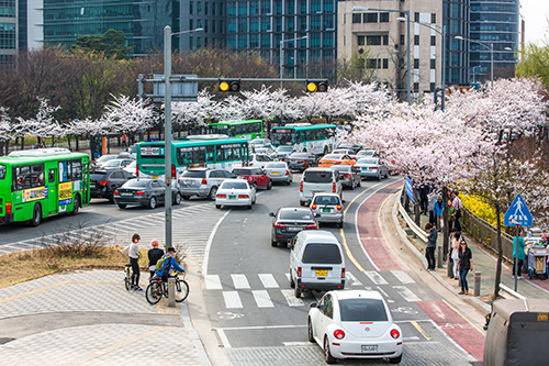 「漢江・汝矣島 春の花祭り」開催中、一帯は交通渋滞が予想されます。出かける際には地下鉄の利用がおすすめです。