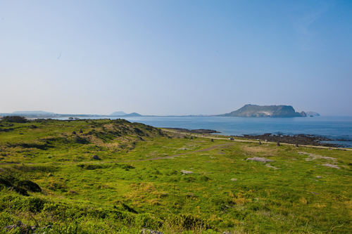 日本からの直行便もある、「東洋のハワイ」こと韓国最南端の済州島（チェジュド）。山・草原・海と大自然に恵まれた環境から、珍味の宝庫としても有名です。さっそく済州島のご当地グルメを見てみましょう！