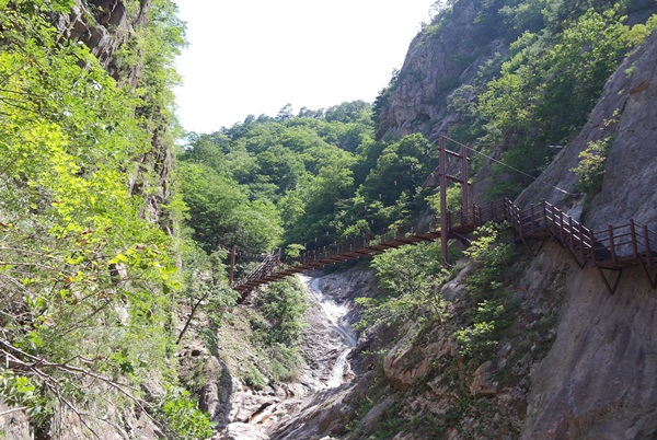 韓国の名峰 雪岳山の名物吊り橋 ３３年ぶりに復元 Joongang Ilbo 中央日報