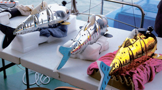 なぜこのテストが行われるのでしょうか?