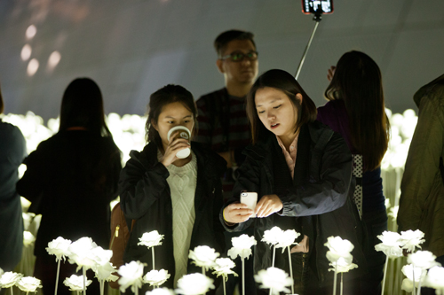 暗闇の中に浮かび上がるように優しくほのかに光る花。会社帰りのＯＬやカップルなど、花畑に訪れた大勢の人たちは写真撮影に夢中。花畑をバックにセルカ棒で記念写真を撮る人たちも多く見られます。