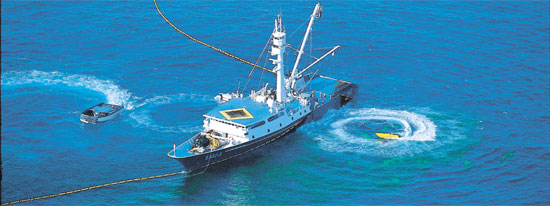 ４ｄ業種 の遠洋漁業 マグロは誰がとるのか 韓国 Joongang Ilbo 中央日報