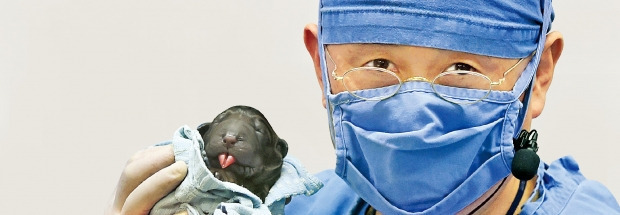「５７３番目のクローン犬が生まれました」。スアム生命工学研究院の黄禹錫博士が５７３番目のクローン犬を手に取り見せている。