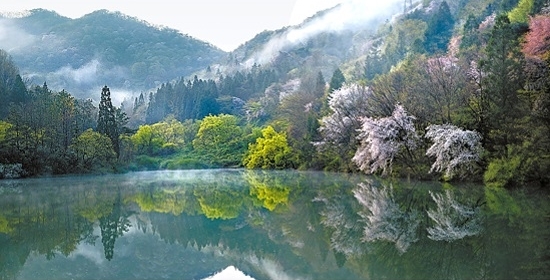 旅行】燦爛とした春の水彩画＝全羅南道・和順 | Joongang Ilbo | 中央日報