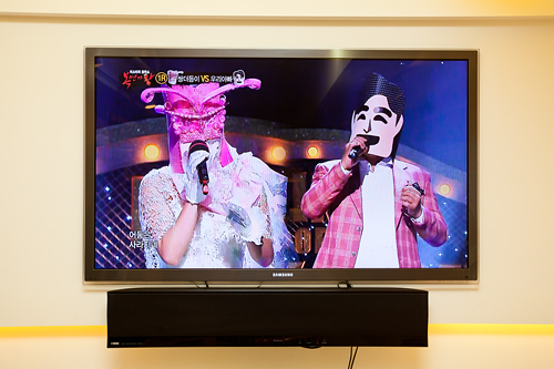 ｢覆面歌王（ポンミョンカワン）｣は、アイドルからベテラン歌手まで覆面で身分を隠し、実力を競い合う音楽バラエティ番組。先入観にとらわれず歌唱力だけで評価できると好評です。また後々明かされる正体にも毎回注目が集まります。