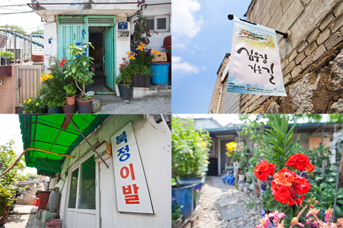 昔ながらの理髪店やきれいに花が植えられた家など、まるでタイムスリップしたような景色が続く一帯。人々の素朴な暮らしが溶け込む静かでのんびりとした街は、韓国の写真好きたちも注目しています。