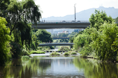 冠岳山（クァナクサン）と清渓山（チョンゲサン）から流れる長さ１５．６キロの良才川。昔は生活排水が流れ、悪臭が漂うどぶ川でしたが、周辺の区画整理や開発が進むとともに１９９５年から本格的な改善運動が行なわれ、現在の美しい姿に生まれ変わりました。