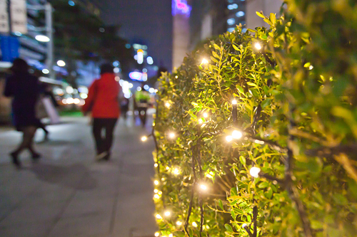 夜の明洞に繰り出して一足先にクリスマスイルミネーションを満喫してみてはいかがでしょうか？