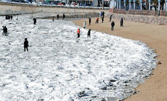 海も凍った １３１センチ積雪の鬱陵島 生活必需品が売り切れ 韓国 １ Joongang Ilbo 中央日報