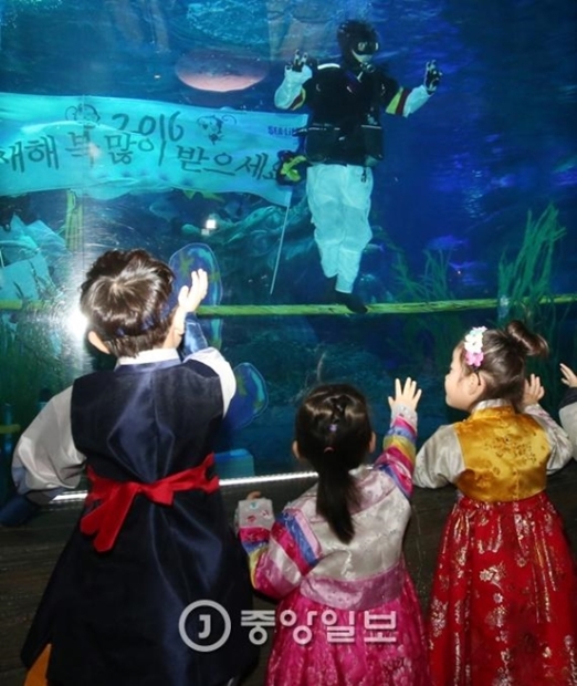 ２日、釜山海雲台のアクアリウムで子供たちがダイバーの水中綱渡りを見て歓呼している。