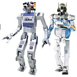昨年の災害対応人型ロボット国際大会で優勝した韓国のＨＵＢＯ（左）と１０位の日本のＨＲＰ２＋。