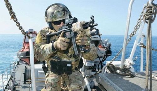 ２日、遮断機動および乗船検査訓練で、海軍特殊戦戦団（ＵＤＴ／ＳＥＡＬ）の隊員がＷＭＤを積載していると疑われる仮想の北朝鮮船舶に入って検査をしている。（写真＝韓国海軍）