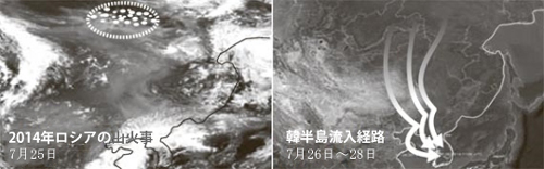 ２０１４年ロシアの山火事（白い点線の円の中、左）と韓半島流入経路（右）