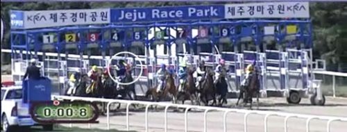 ２０１１年５月２０日、済州道競馬場で４番の馬が頭を上げてスタートしている。この馬の騎手はブローカーから１２００万ウォンを受け、意図的に手綱を引いて速度を落としたことが分かった。（写真＝ソウル中央地検（動画キャプチャー））