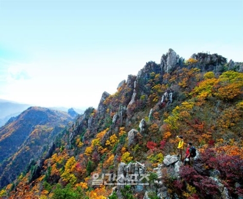 雪岳山で紅葉始まる ２週間後にピークの予想 Joongang Ilbo 中央日報