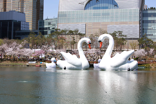 今だけの「石村湖」もう１つの見所が、湖に浮かぶ大きな白鳥「スイートスワン」。２匹の白鳥が向かい合うとハートの形を作る姿は、ＳＮＳでも話題に！作品は５月８日まで展示される予定です。韓国の「旬」が集まる蚕室エリアに足を運んでみてはいかがでしょうか。