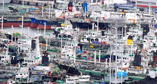 写真 台風１８号がくる 漁船出港禁止 釜山 Joongang Ilbo 中央日報