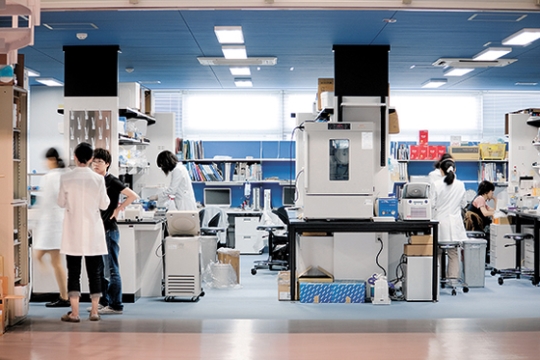 京都大ｉＰＳ細胞研究所（ＣｉＲＡ）は研究チーム間の仕切りがないオープンラボ構造だ。ここで細胞を作って分化させる基礎研究から実際に手術をする臨床研究まで行われる。（写真＝ＣｉＲＡ）